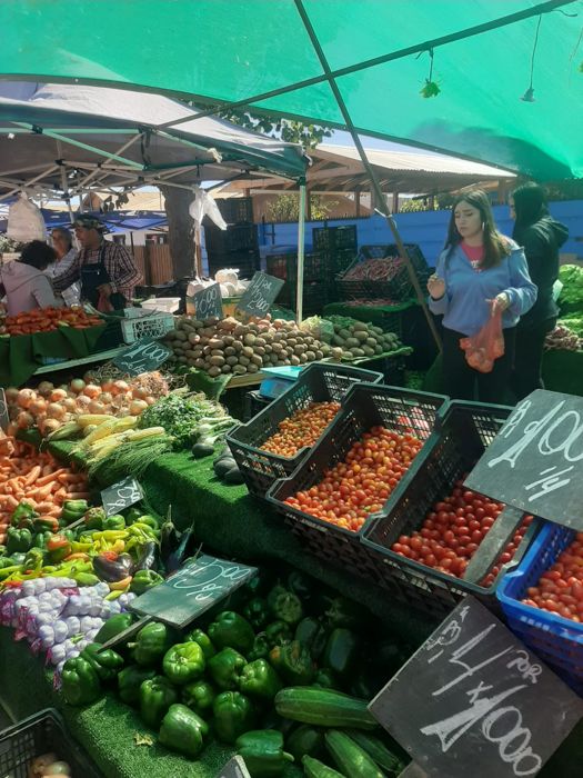Pichilemu market